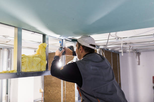 Best Insulation Installation Services in Ida Grove, IA