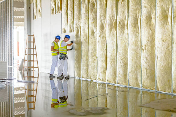 Best Insulation for Specific Applications in Ida Grove, IA